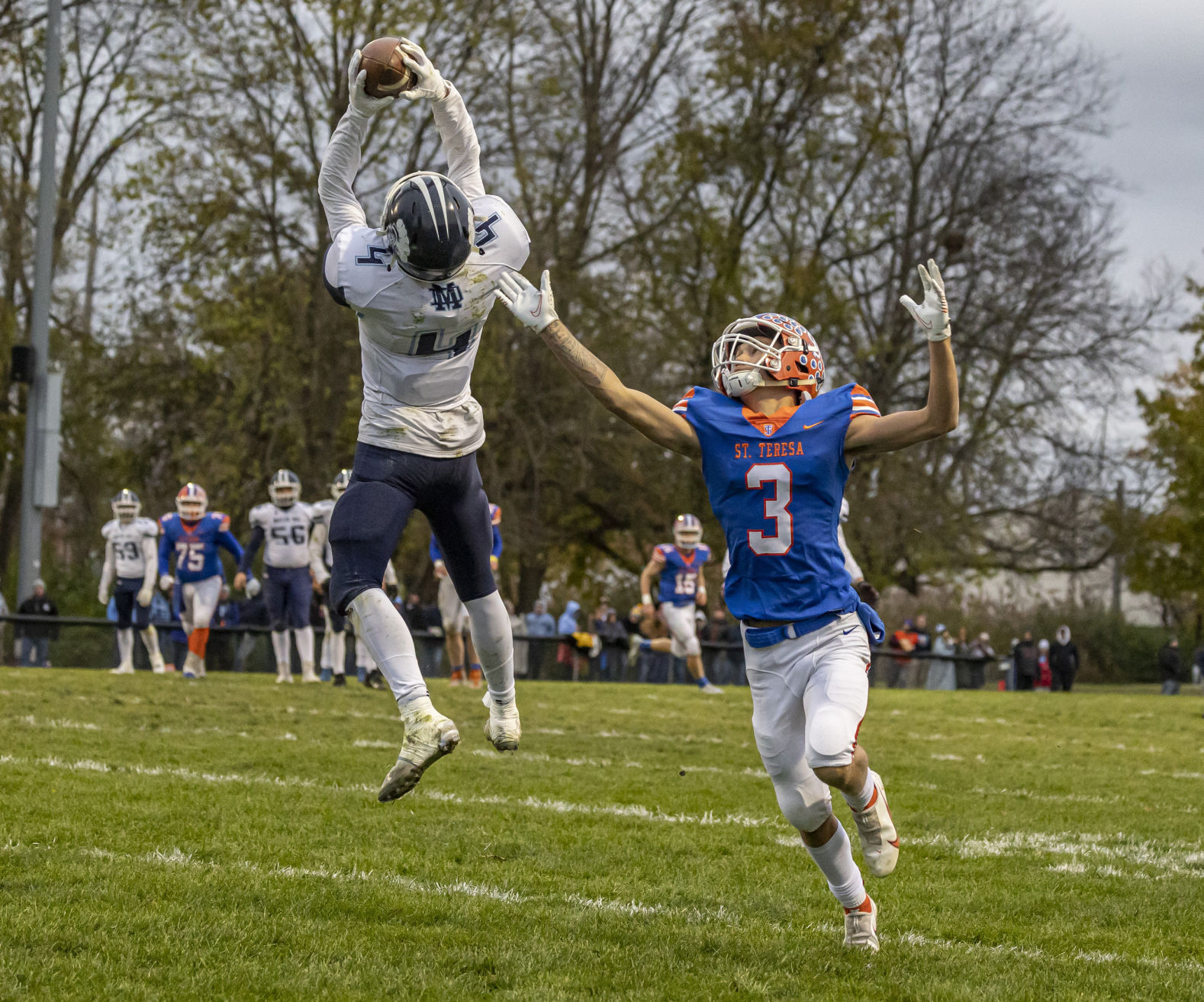 St. Teresa Breese Mater Dei 40 111321.JPG